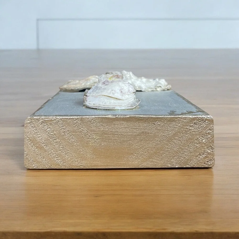 N/A oyster shell